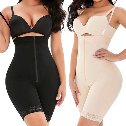 Hey & Bye : Curves